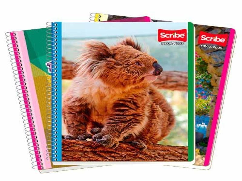 CUADERNO PROF. MEGA SCRIBE 7511 DIBUJO ESP.100H. C.36