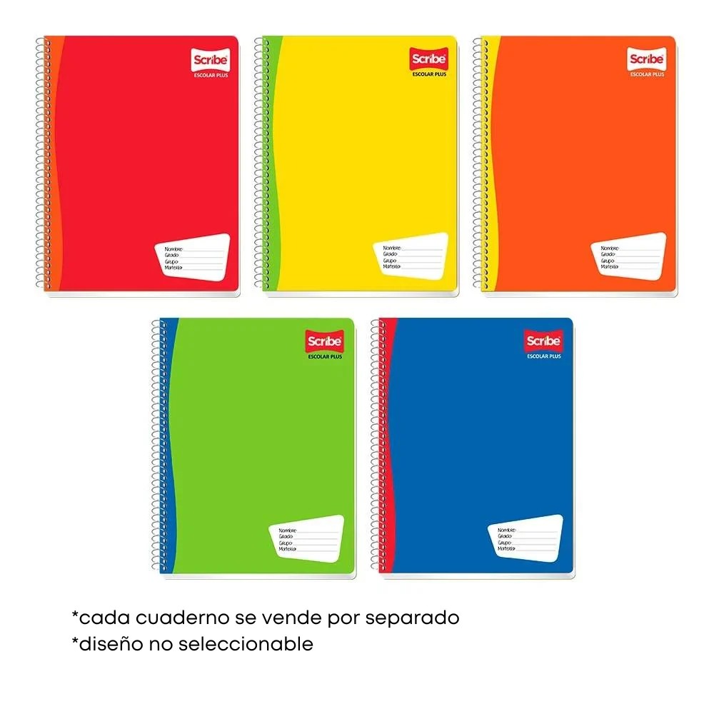 CUADERNO PROF. ESCOLAR SCRIBE 7972 C5MM ESP.100H. C36