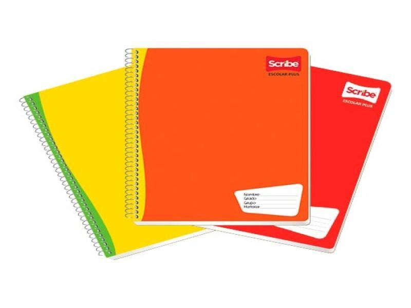 CUADERNO PROF. ESCOLAR SCRIBE 7974 D.RAYA ESP.100H. C36
