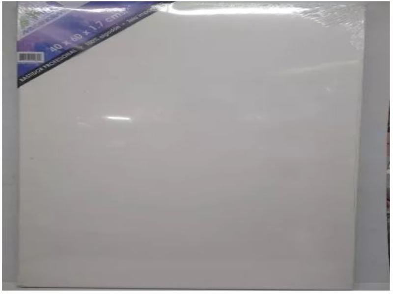 BASTIDOR PROF. 40X60X1.7CM. MECANORMAPINTO C.20
