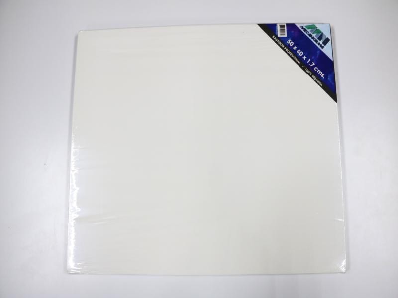 BASTIDOR PROF. 50X60X1.7CM. MECANORMA C.20