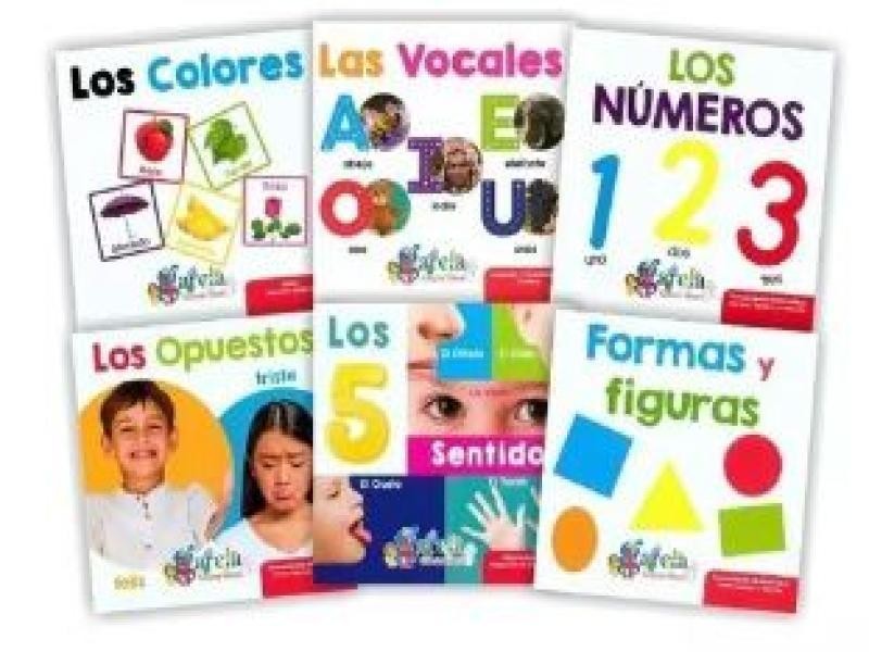 LIBRO PALABRAS Y CONCEPTOS EN CARTON C6T 0901 C.12