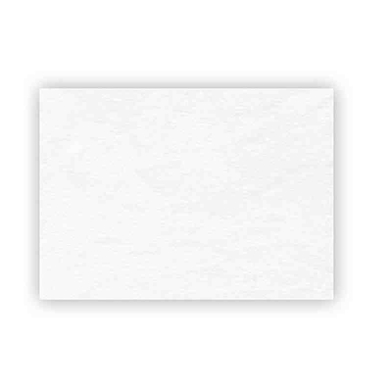 PAPEL VEGETAL.CALCA 110115GRS. 61X91 JISS E.250