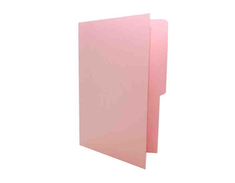 FOLDER OFI. ROSA MAPASA E.100 C.500