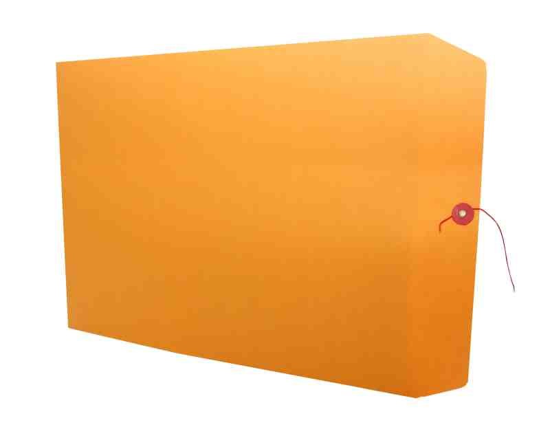 SOBRE BOLSA FOLDER 8009 - IA0331 PANUCO CR PC 80KG25250